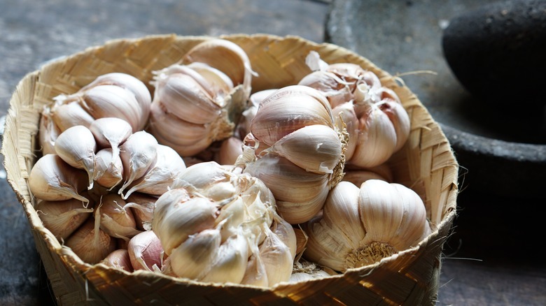 Basket of garlic 