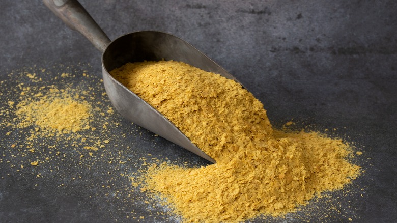 nutritional yeast flakes in scoop