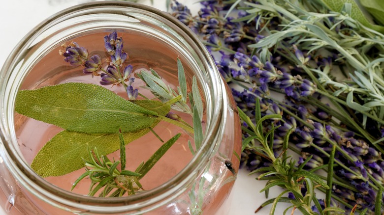 Jar of vinegar and herbs
