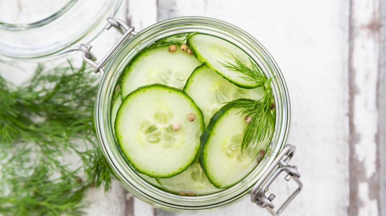 Fresh homemade pickles in a jar with dill