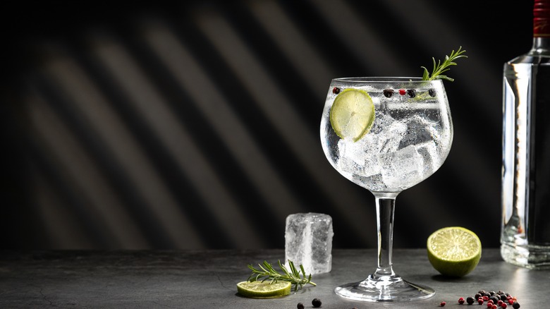 Classic gin and tonic