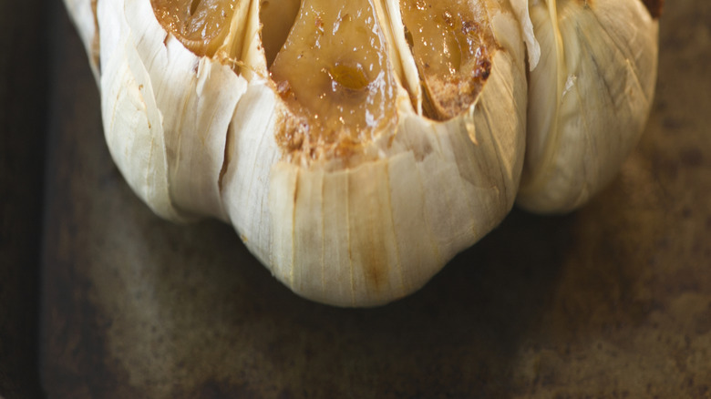 Full roasted garlic head with rosemary sprig on top