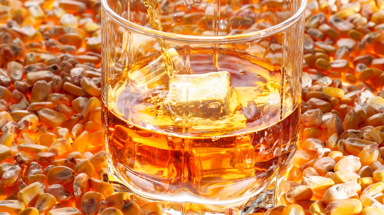 Bourbon in glass surrounded by corn kernels