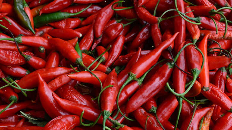 Pile of fresh red chili peppers