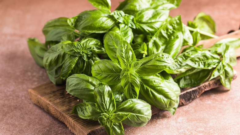 fresh green basil leaves