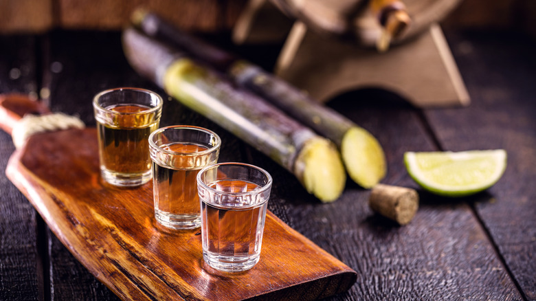 Glasses of cachaça