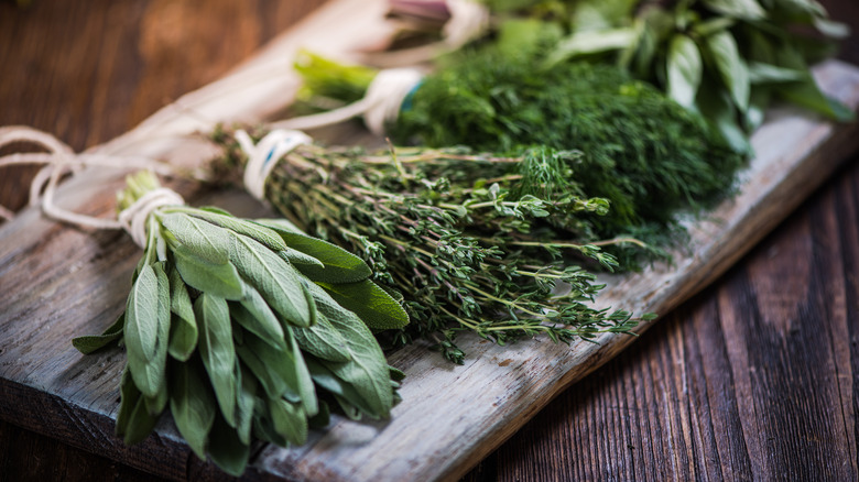 fresh herbs on board