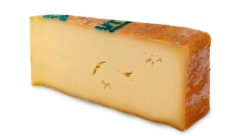 Fontina cheese block