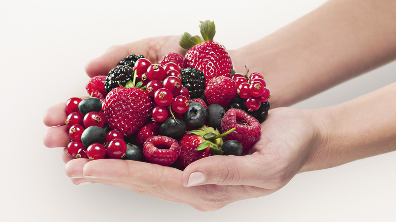 hands holding assortment of berries