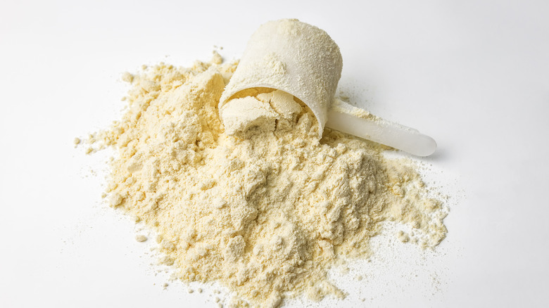 pile of protein powder with plastic scoop