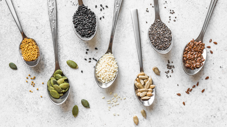 various seeds on metal spoons