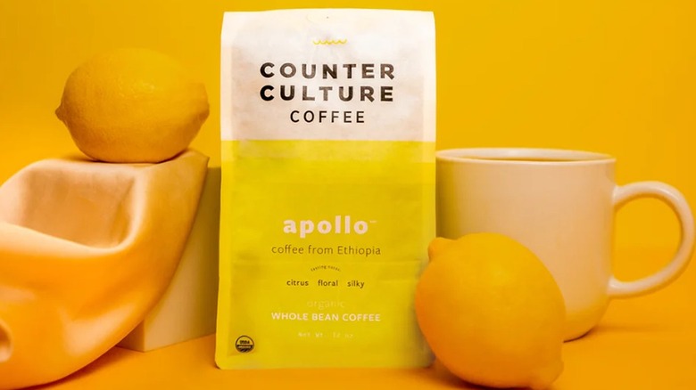 coffee bag and lemons on yellow background