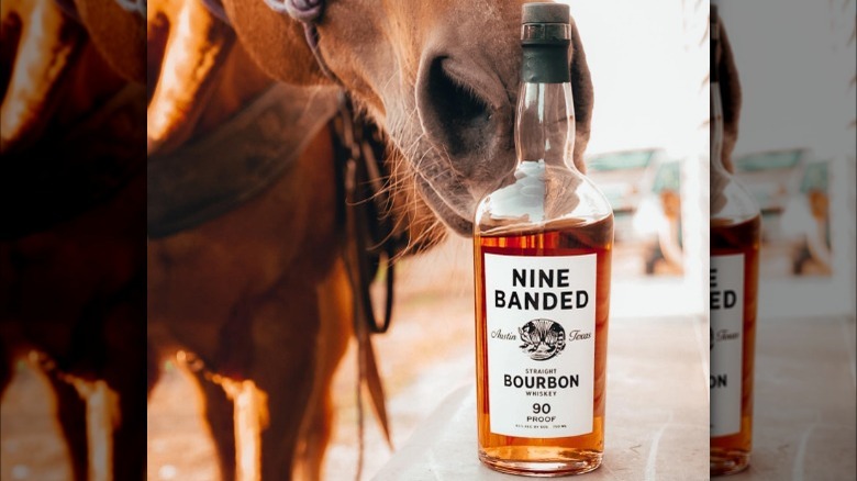 Horse sniffing Nine Banded bourbon