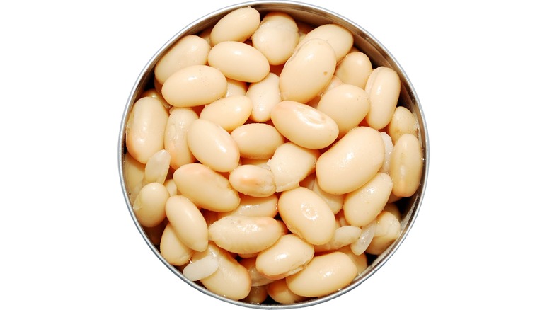 can of cannellini beans