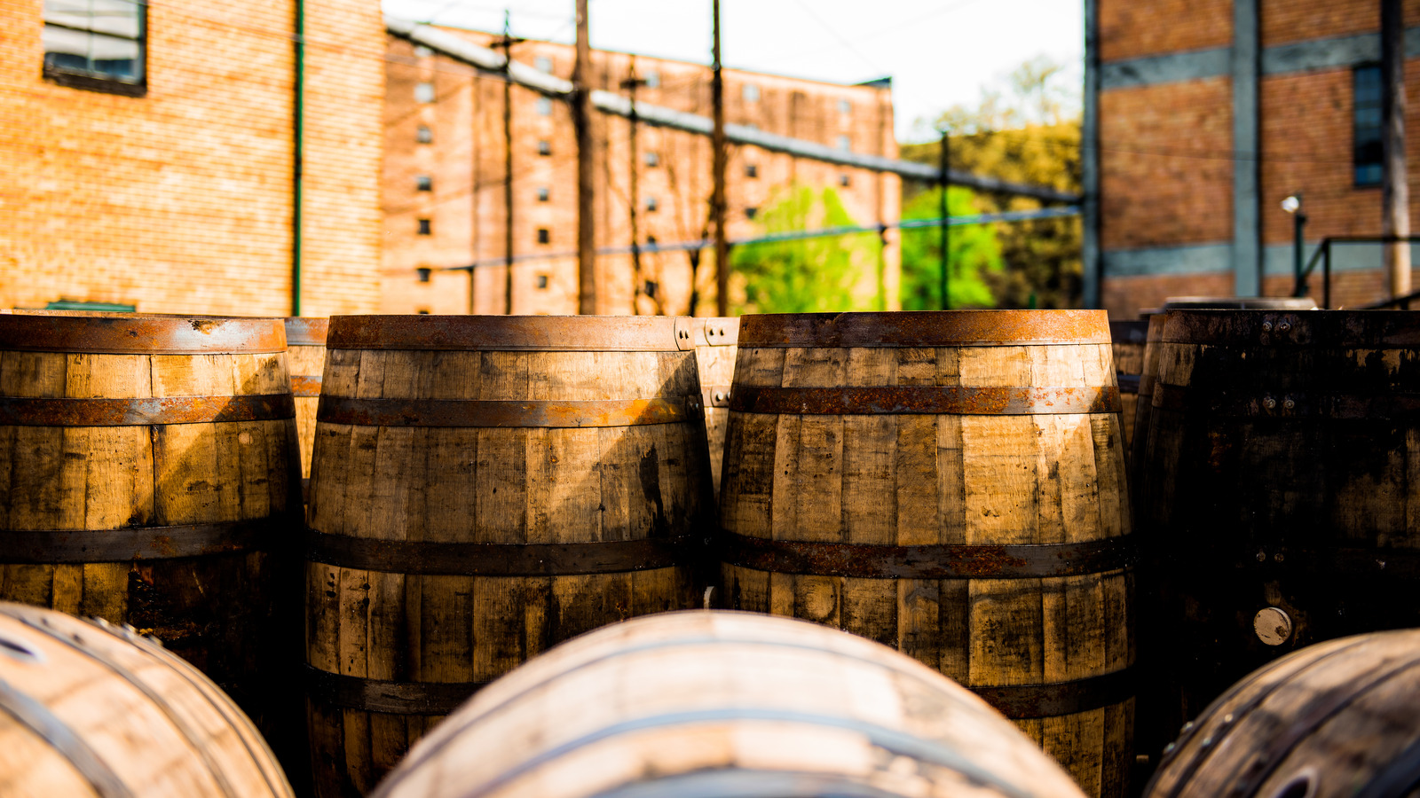 visit bourbon distilleries in kentucky