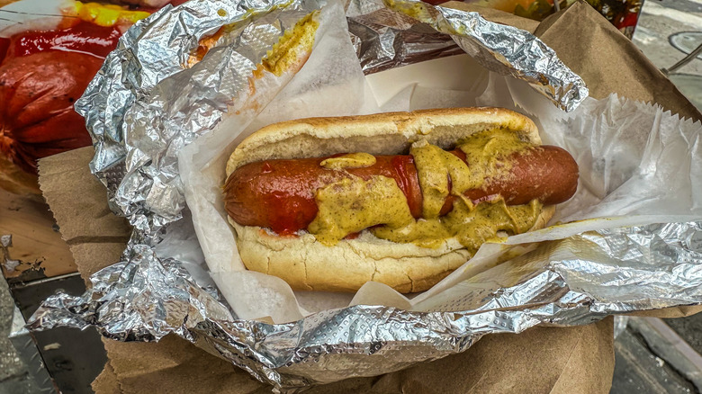 sabrett's hot dog