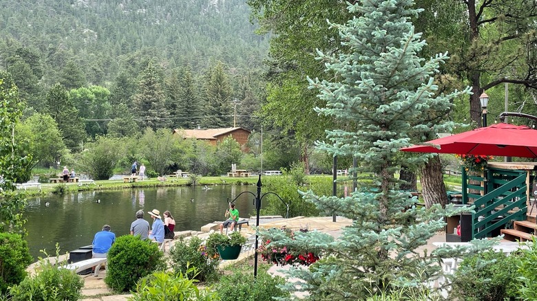 Estes Park patio with pond view