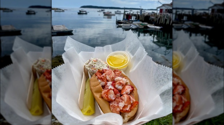 Lobster roll with a harbor in the background