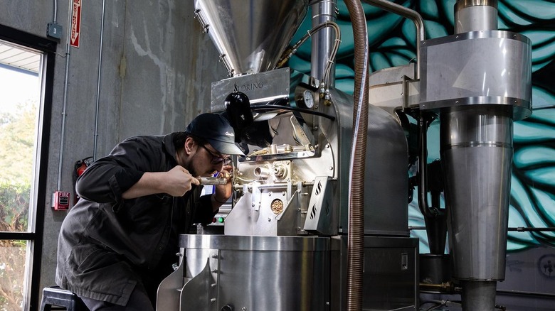 Person operating coffee roasting machine