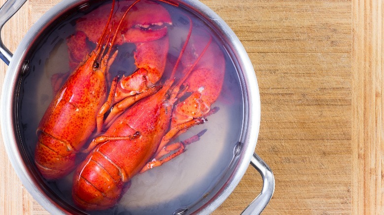 Two lobsters in a pot