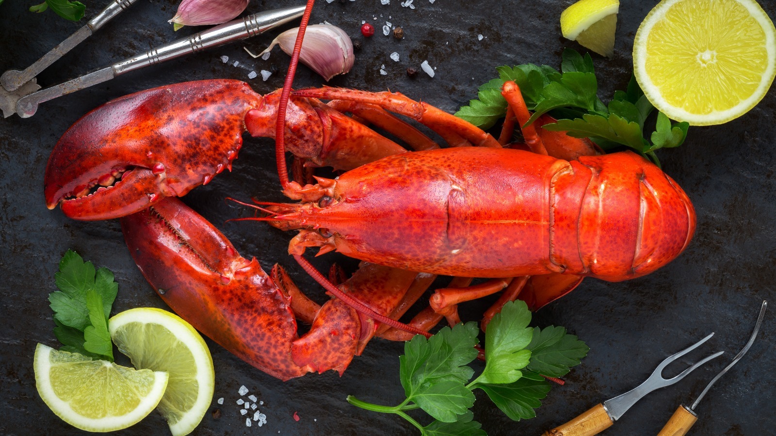 14 Best Tips For Removing Lobster Meat From Its Shell
