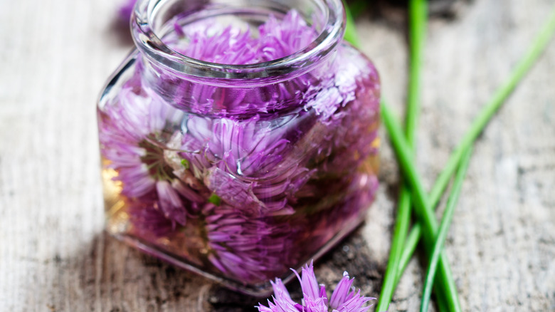 Chive blossom vinegar