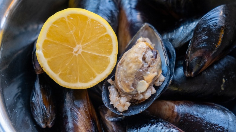 Open mussel in pot