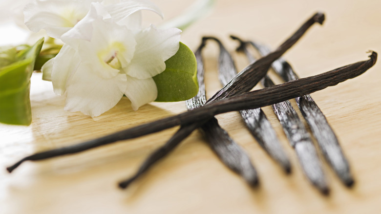 Vanilla beans, flower