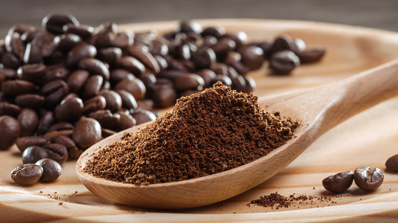 Ground coffee powder on spoon