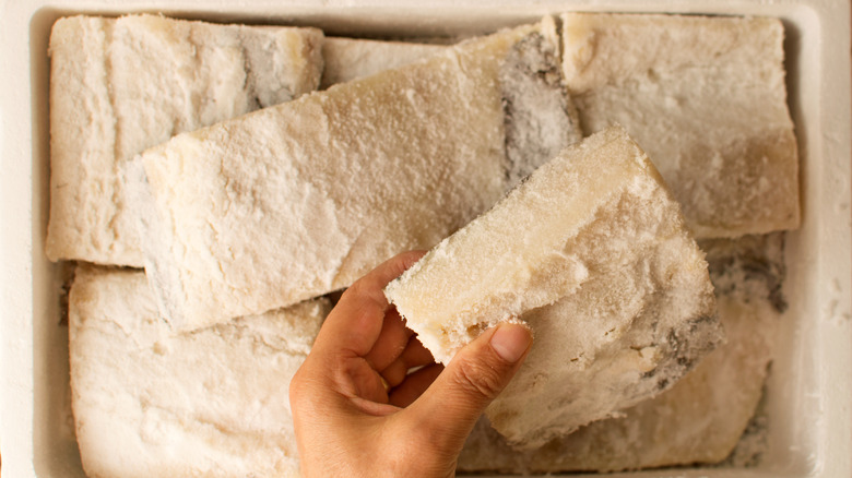 Person handling salted cod fillets