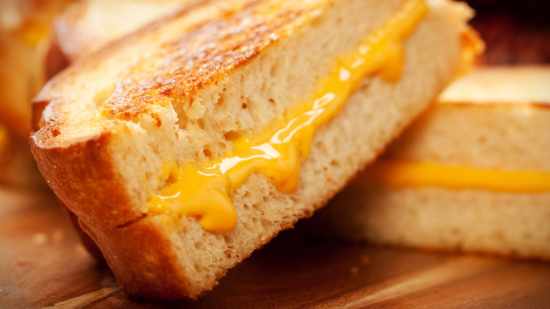 grilled cheese sandwich