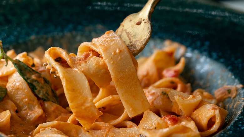 Forkful of tagliatelle with tomato sauce