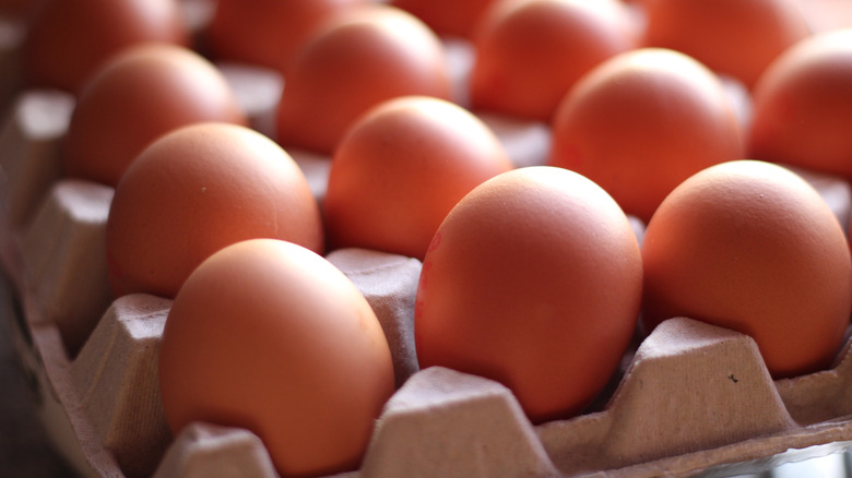 eggs in cardboard carton