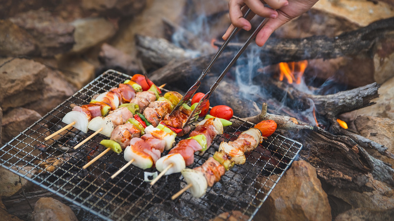 Kebabs on a grill rack