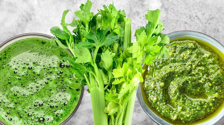 Fresh celery and celery recipes