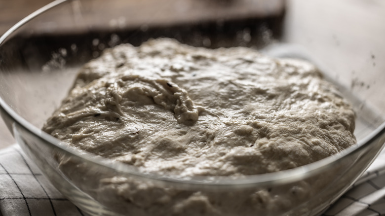 Dough resting in glass bowl on countertop