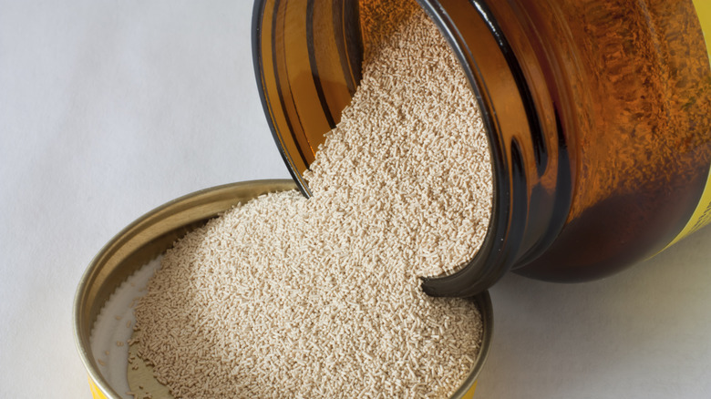 Opened glass container of dry yeast pouring contents onto jar lid