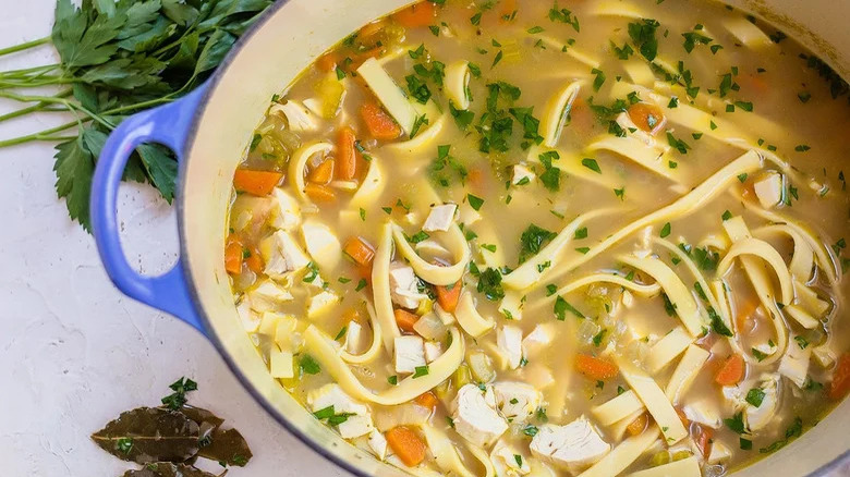 chicken noodle soup