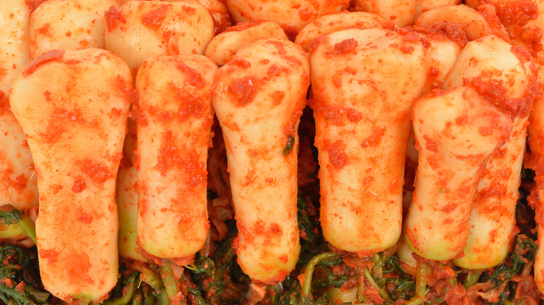 A row of Chonggak Kimchi