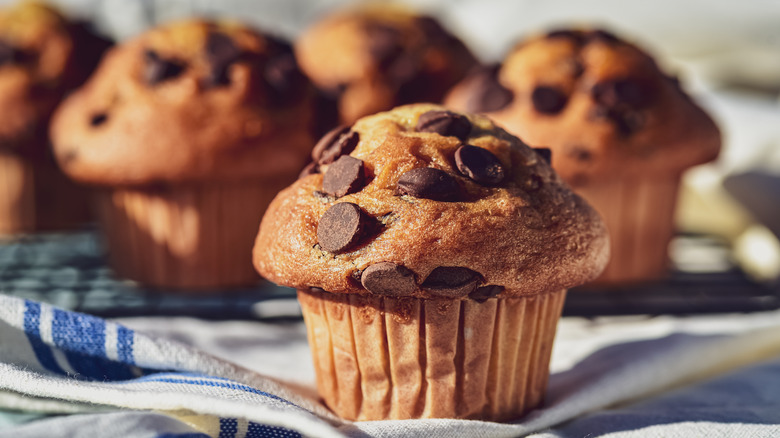 homemade chocolate chip muffins