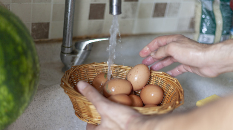 Eggs rinsed with tap water