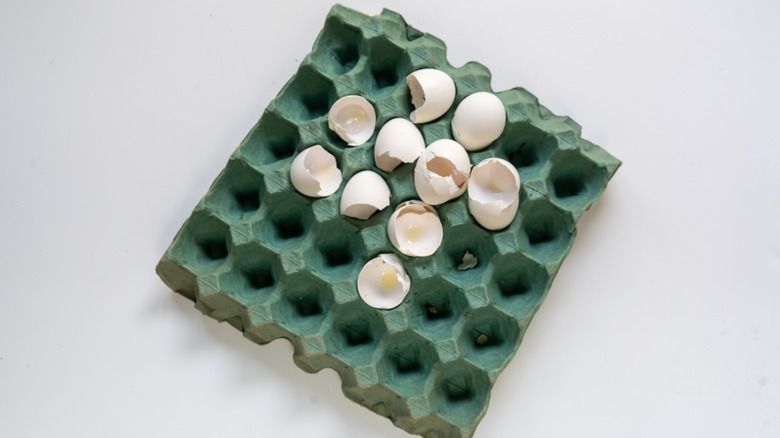 Empty eggshells in carton