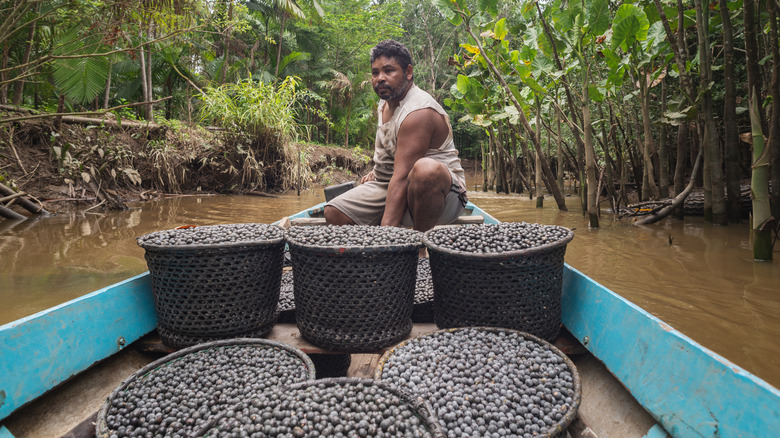 Man in boat with açaí