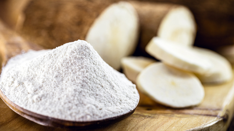 Manioc root and tapioca flour