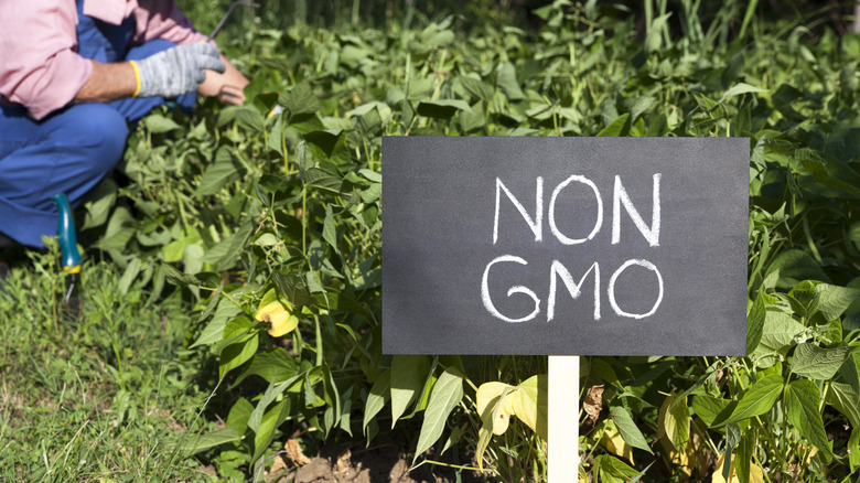 Non-GMO sign with plants