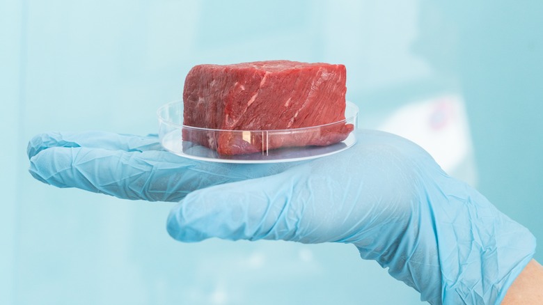 Piece of lab-grown meat