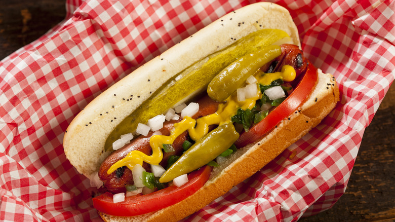 Chicago style hot dog