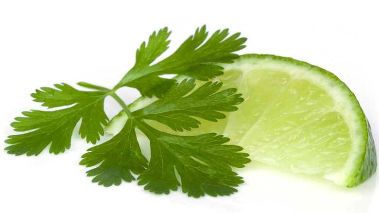 Lime wedge and cilantro leaf 