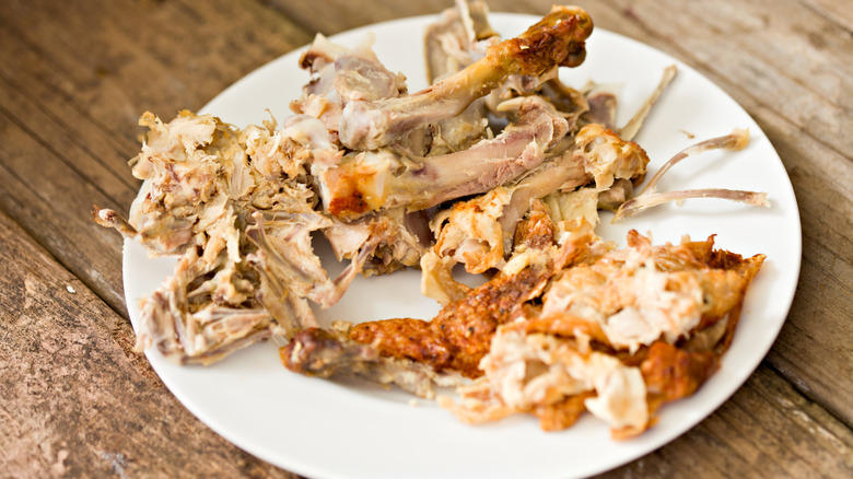 Chicken bones on white plate 