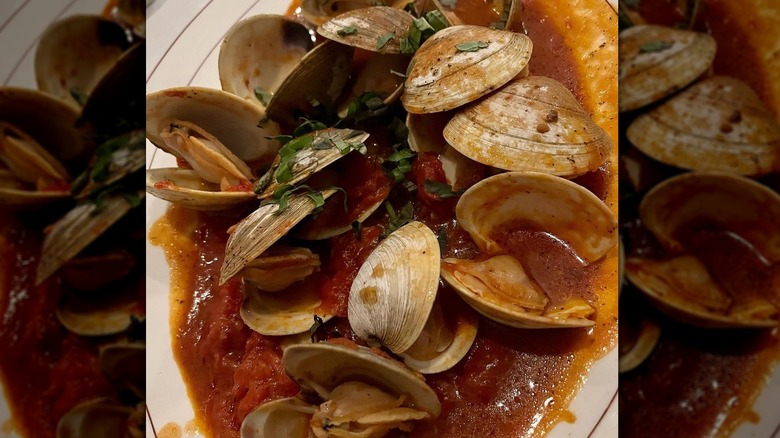 Clams in red sauce